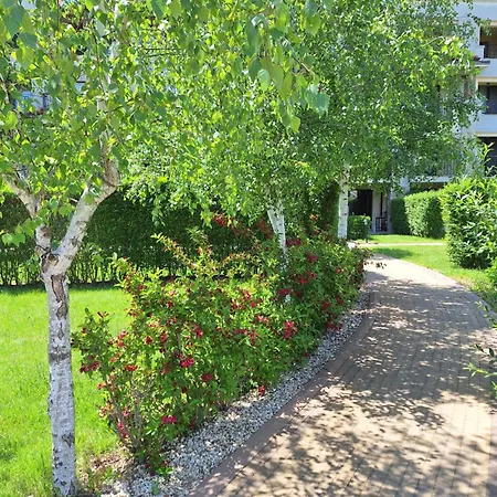 Alex Studio, Sozopol, Kavaci Sosopol