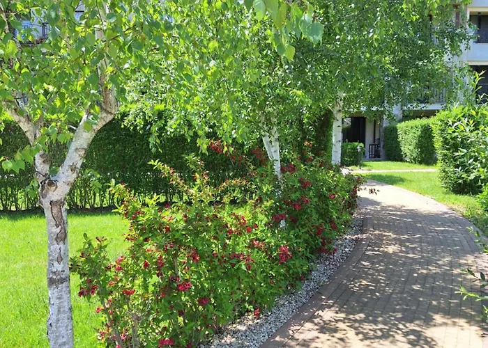 Alex Studio, Sozopol, Kavaci Sozopol